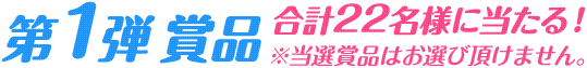 第1弾賞品　合計22名様に当たる！　※当選賞品はお選び頂けません。