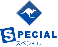 SPECIAL/スペシャル